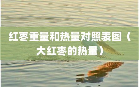 红枣重量和热量对照表图（大红枣的热量）