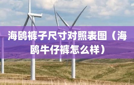 海鸥裤子尺寸对照表图（海鸥牛仔裤怎么样）
