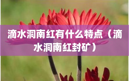 滴水洞南红有什么特点（滴水洞南红封矿）