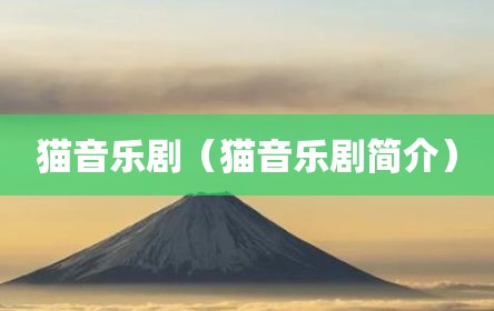 猫音乐剧（猫音乐剧简介）