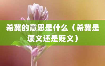 希冀的意思是什么（希冀是褒义还是贬义）
