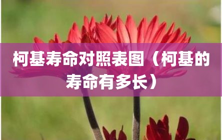 柯基寿命对照表图（柯基的寿命有多长）