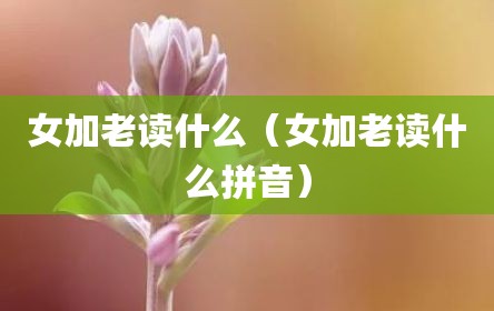 女加老读什么（女加老读什么拼音）