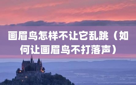 画眉鸟怎样不让它乱跳（如何让画眉鸟不打落声）
