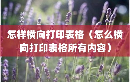 怎样横向打印表格（怎么横向打印表格所有内容）