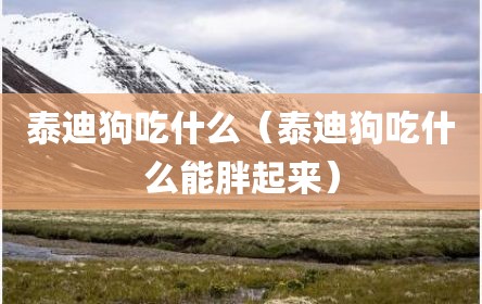泰迪狗吃什么（泰迪狗吃什么能胖起来）