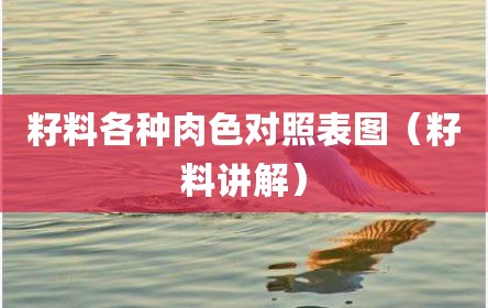 籽料各种肉色对照表图（籽料讲解）
