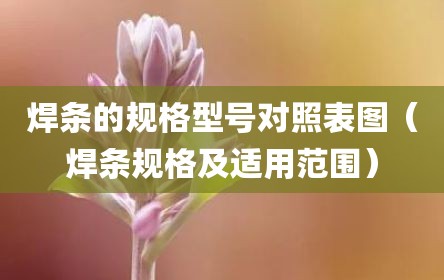 焊条的规格型号对照表图（焊条规格及适用范围）