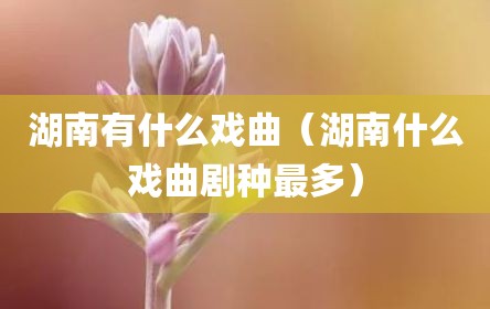 湖南有什么戏曲（湖南什么戏曲剧种最多）