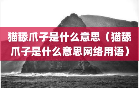 猫舔爪子是什么意思（猫舔爪子是什么意思网络用语）