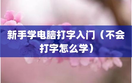 新手学电脑打字入门（不会打字怎么学）