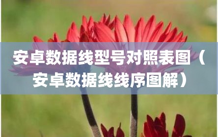 安卓数据线型号对照表图（安卓数据线线序图解）