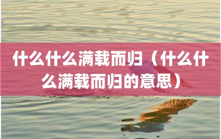 什么什么满载而归（什么什么满载而归的意思）