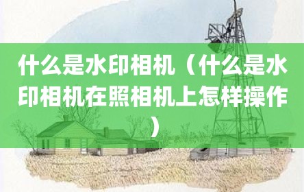 什么是水印相机（什么是水印相机在照相机上怎样操作）