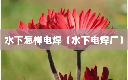 水下怎样电焊（水下电焊厂）
