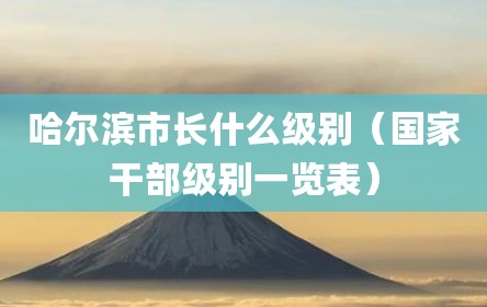 哈尔滨市长什么级别（国家干部级别一览表）