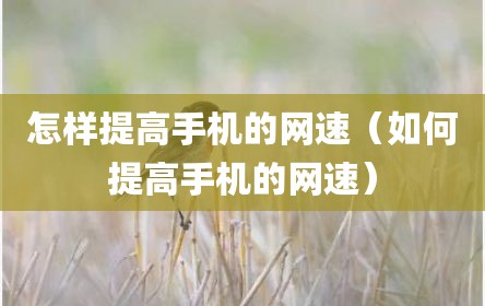 怎样提高手机的网速（如何提高手机的网速）