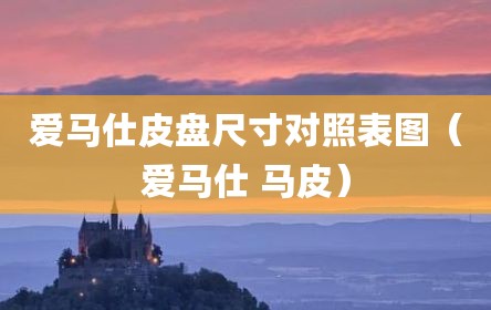 爱马仕皮盘尺寸对照表图（爱马仕 马皮）