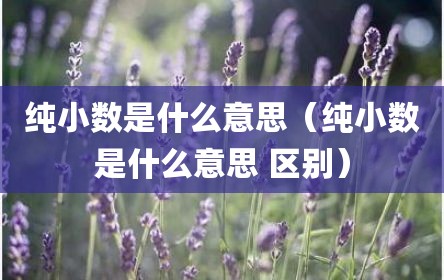 纯小数是什么意思（纯小数是什么意思 区别）