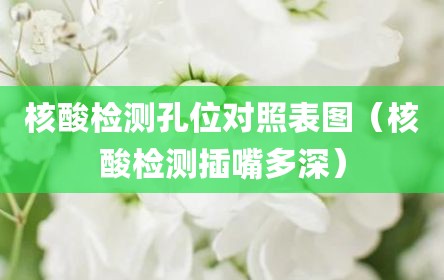 核酸检测孔位对照表图（核酸检测插嘴多深）