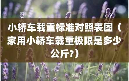 小轿车载重标准对照表图（家用小轿车载重极限是多少公斤?）