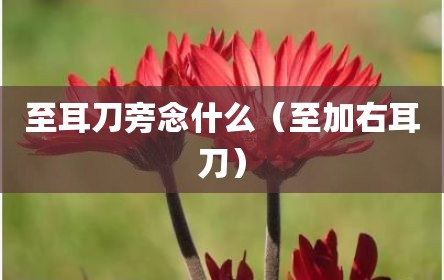至耳刀旁念什么（至加右耳刀）
