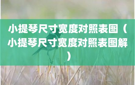 小提琴尺寸宽度对照表图（小提琴尺寸宽度对照表图解）