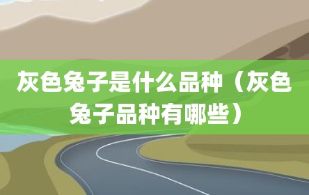 灰色兔子是什么品种（灰色兔子品种有哪些）