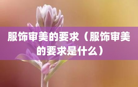 服饰审美的要求（服饰审美的要求是什么）