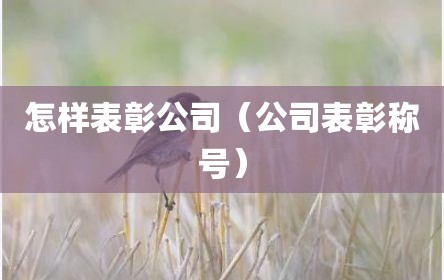 怎样表彰公司（公司表彰称号）