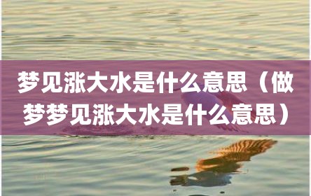 梦见涨大水是什么意思（做梦梦见涨大水是什么意思）