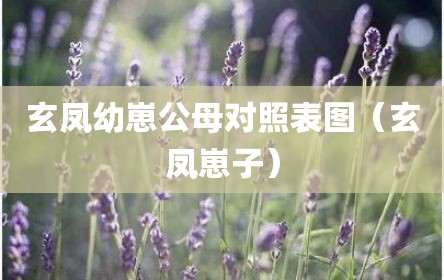 玄凤幼崽公母对照表图（玄凤崽子）