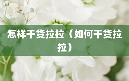 怎样干货拉拉（如何干货拉拉）