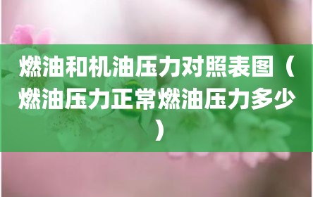 燃油和机油压力对照表图（燃油压力正常燃油压力多少）
