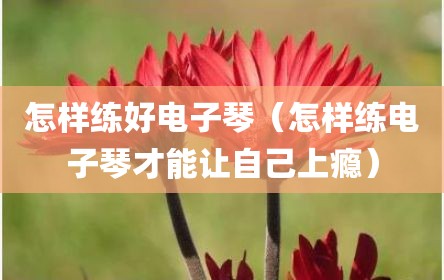 怎样练好电子琴（怎样练电子琴才能让自己上瘾）