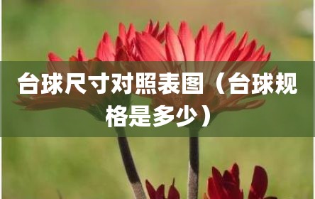 台球尺寸对照表图（台球规格是多少）