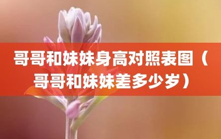 哥哥和妹妹身高对照表图（哥哥和妹妹差多少岁）