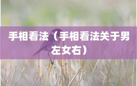 手相看法（手相看法关于男左女右）