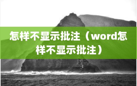 怎样不显示批注（word怎样不显示批注）