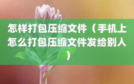 怎样打包压缩文件（手机上怎么打包压缩文件发给别人）