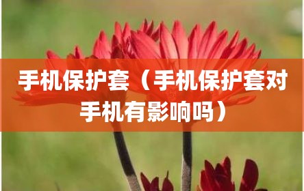手机保护套（手机保护套对手机有影响吗）