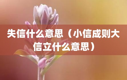 失信什么意思（小信成则大信立什么意思）
