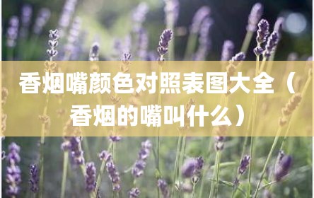 香烟嘴颜色对照表图大全（香烟的嘴叫什么）