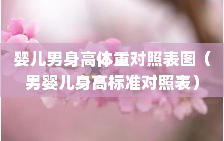 婴儿男身高体重对照表图（男婴儿身高标准对照表）