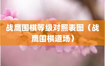 战鹰围棋等级对照表图（战鹰围棋道场）