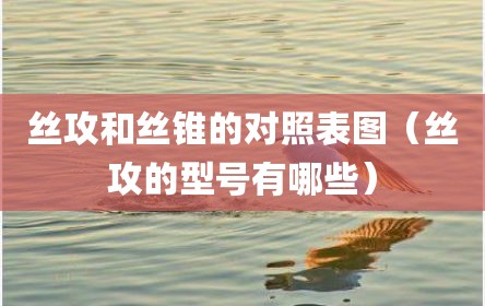 丝攻和丝锥的对照表图（丝攻的型号有哪些）