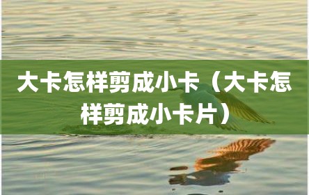 大卡怎样剪成小卡（大卡怎样剪成小卡片）