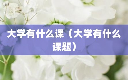 大学有什么课（大学有什么课题）
