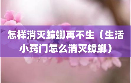 怎样消灭蟑螂再不生（生活小窍门怎么消灭蟑螂）