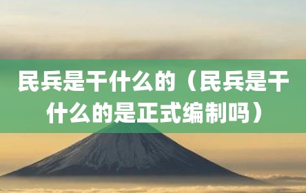 民兵是干什么的（民兵是干什么的是正式编制吗）